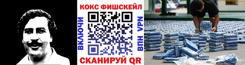 продажа наркотиков  Чкаловск  omg вход  Cocaine 99% 