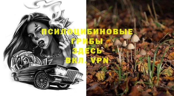 первитин Беломорск