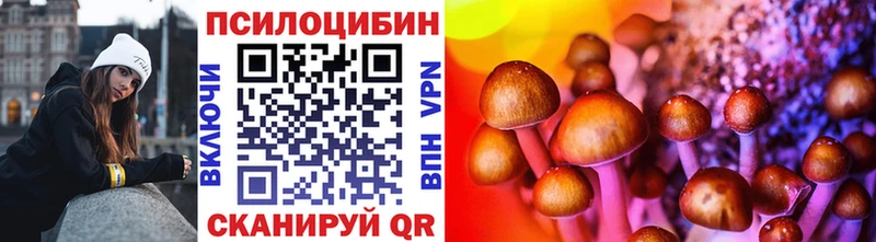 Псилоцибиновые грибы Psilocybe  где можно купить наркотик  Чкаловск 